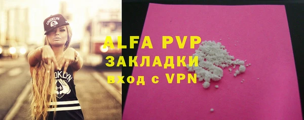 прущие грибы Куйбышев