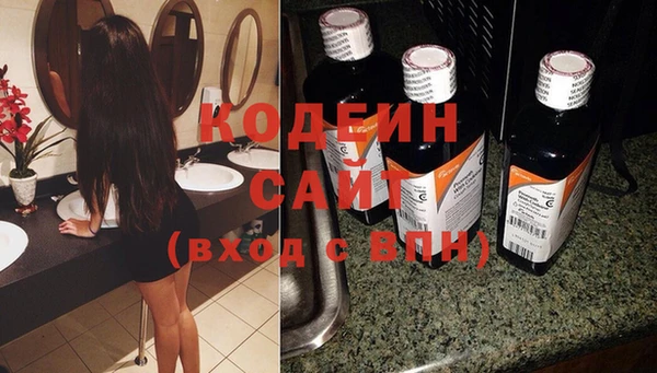 шишки Гусев