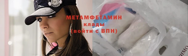 шишки Гусев